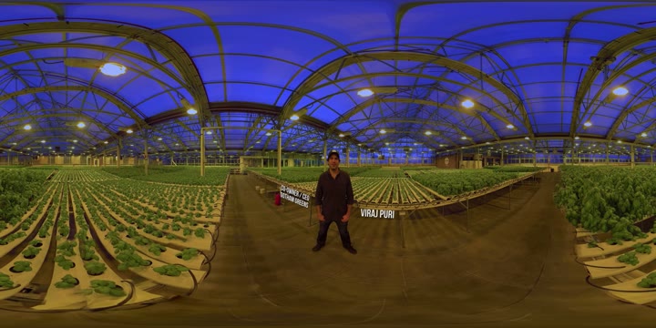 Gotham Greens 360 FOOD NETWORK