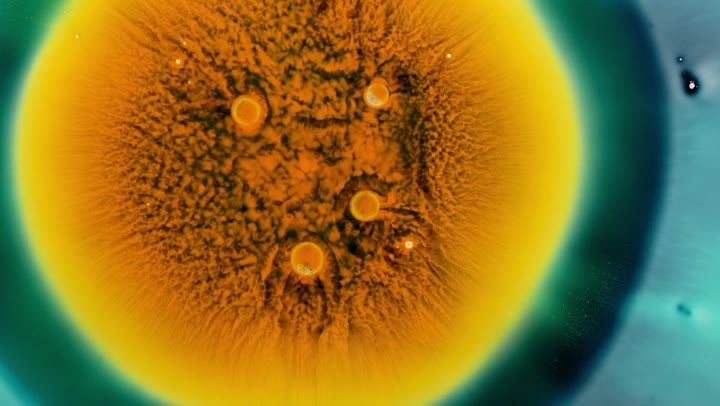 Hologic - Brand Film