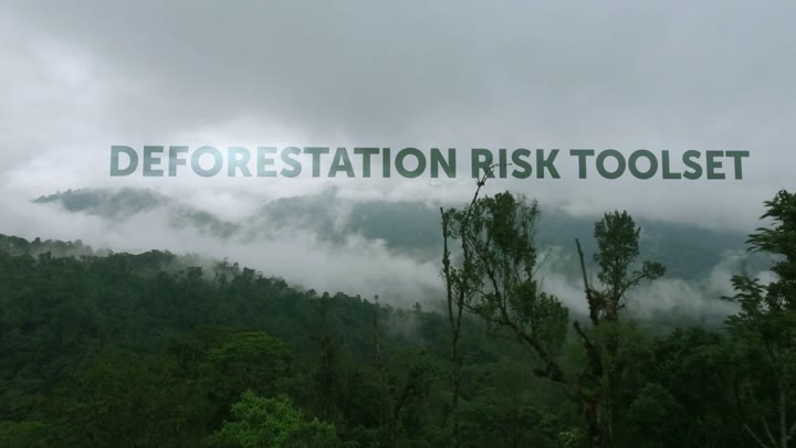 Moore Foundation - Brand Film